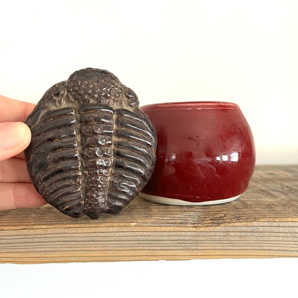 Trilobite lid pottery jar - Picture 1 of 5